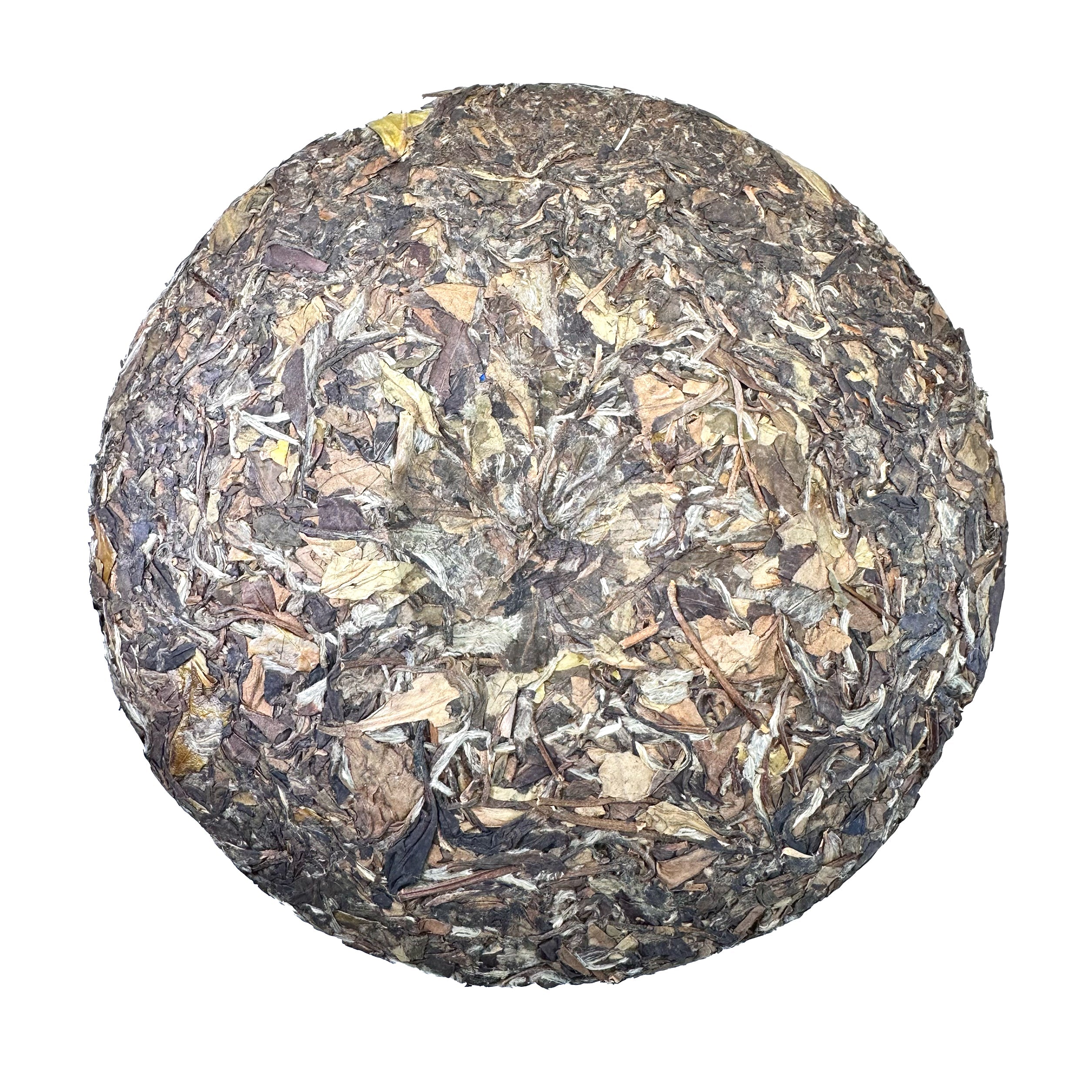 2016 Fuding Tribute Eyebrow (Gong Mei) White Tea Cake