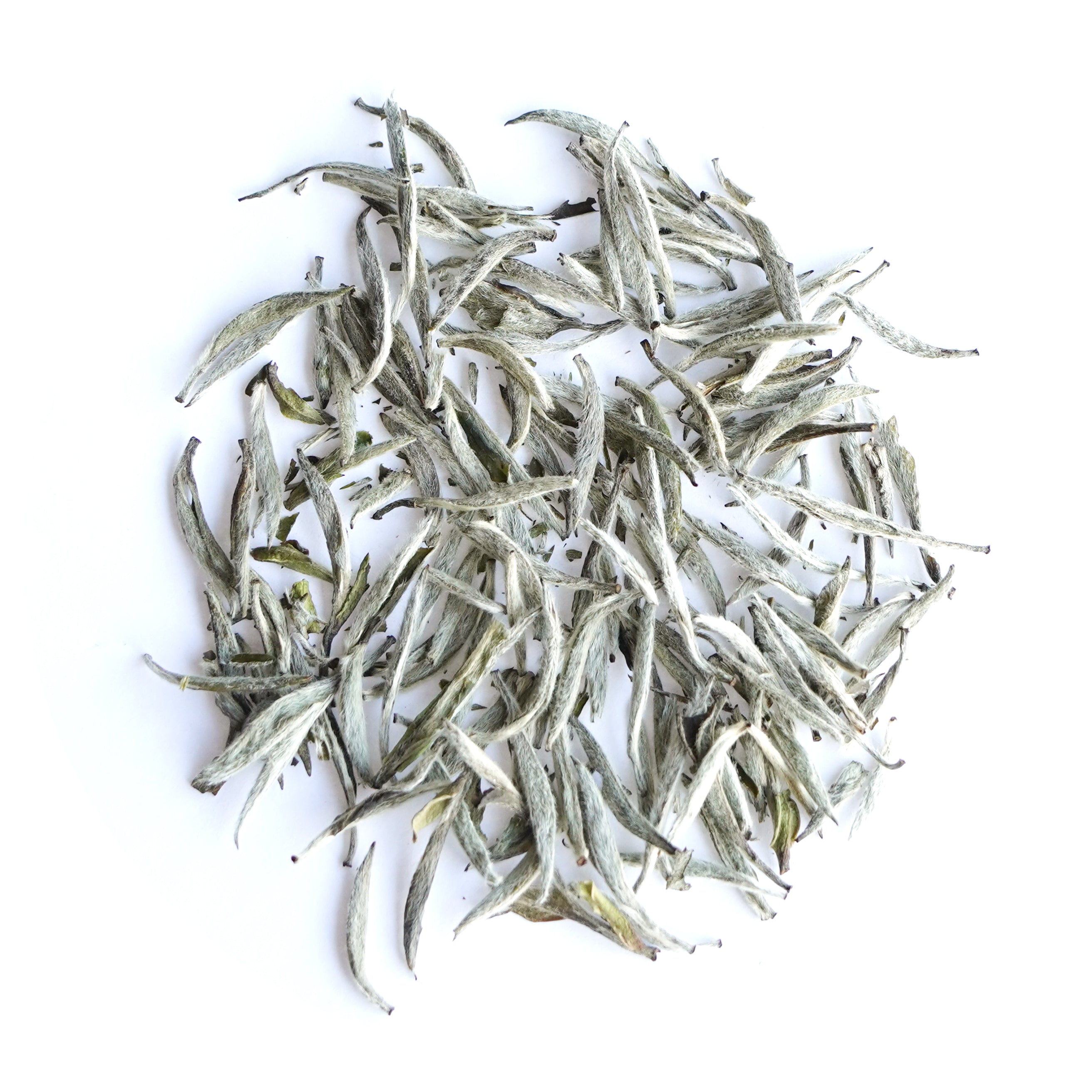 White Hair Silver Needle (Bai Hao Yin Zhen) White Tea