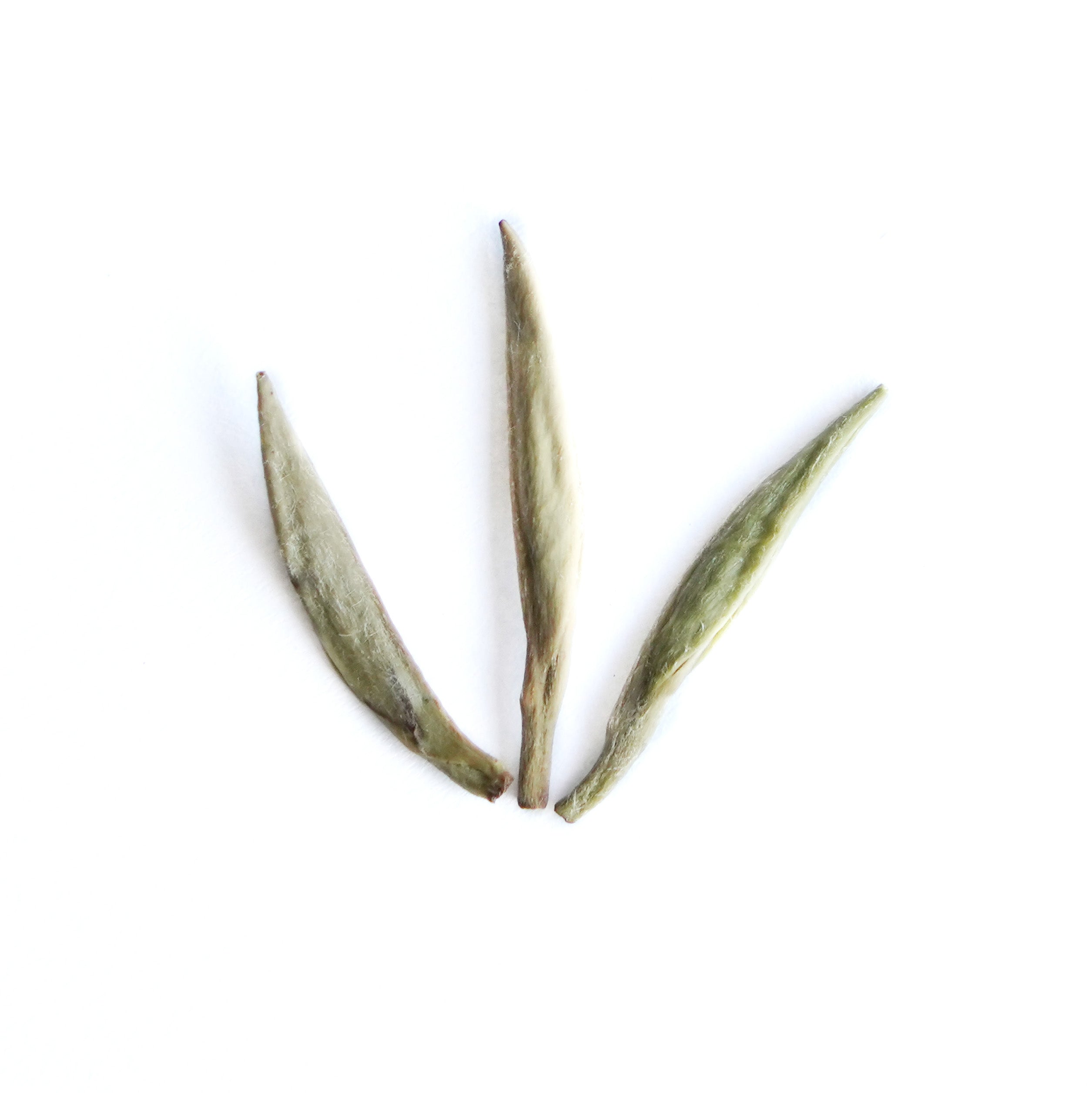 White Hair Silver Needle (Bai Hao Yin Zhen) White Tea