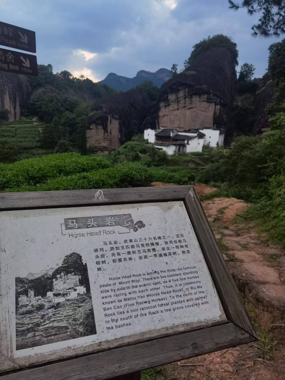 Ma Tou Yan Rougui Oolong Tea