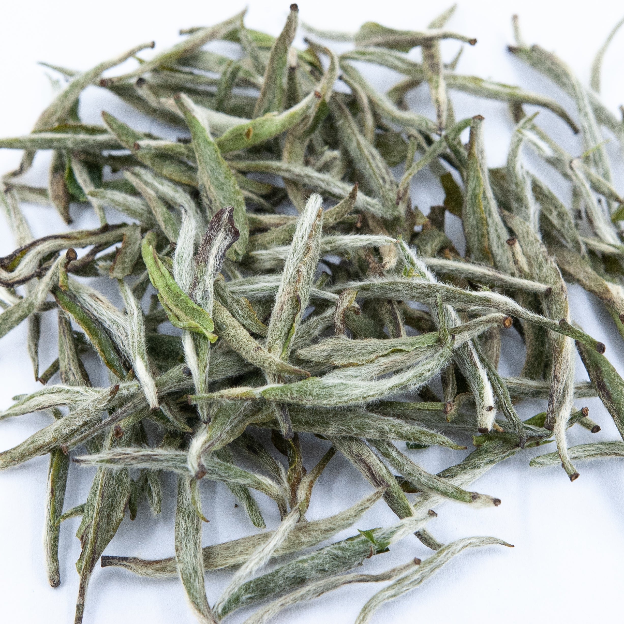 Silver Needle White Tea (Bai Hao Yin Zhen)